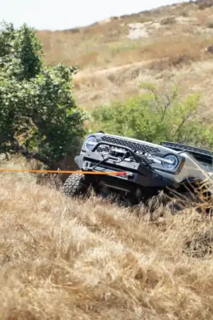 Worldwide Shipping DV8 Offroad Elite Series D-Ring Shackles - Pair (Black)