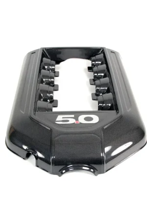 Ford Mustang GT 5.0 Engine Plenum Cover 2011-2014 (Manual Trans.) Original