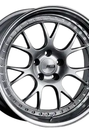 Certified SSR Professor MS3 5x120 19X9.5+5 NR Disk Titan Silver