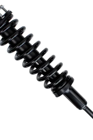 Front Passenger Side Strut w\\/Coil Spring Genuine