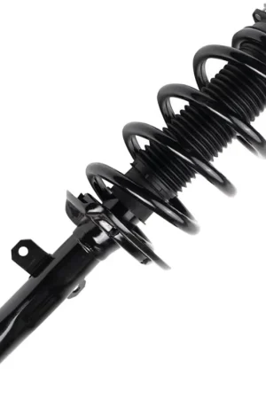 Front Driver or Passenger Side Strut w\\/Coil Spring Bargain
