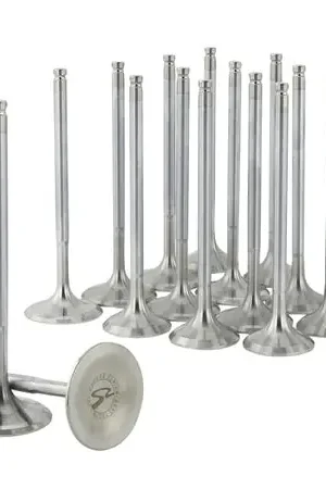 Skunk2 Alpha Series Honda/Acura Stock Size B Series VTEC Valve (Standard Compression) Last Chance