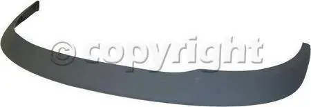 FRONT BUMPER MOLDING Order Now