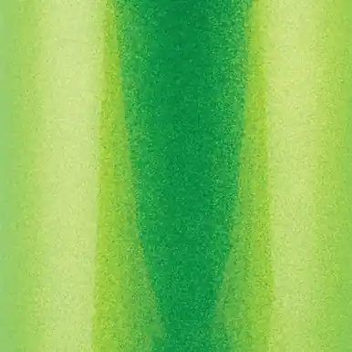 Wehrli 11-16 Chevrolet 6.6L LML Duramax OEM Placement Coolant Tank Kit - Sparkle Granny Smith - WCF100647-SGS Hassle-Free Returns