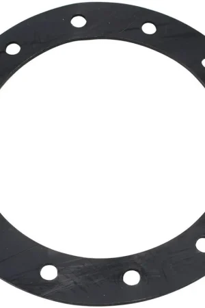 Aeroflow Replacement PTFE Gasket One Day Deal