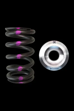 Brian Crower Brian Crower Nissan QR25DE Single Spring & Titanium Retainer Kit Top Rated