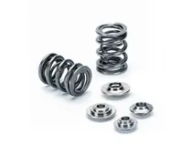 Hot Picks Supertech Nissan RB26DET 24V Dual Valve Spring Kit