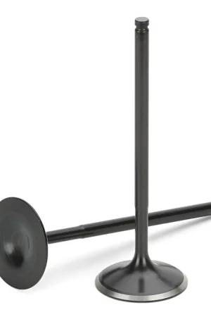 Limited Time Supertech VW 2.0L 16V 28x6.94x98.20mm Dish Black Nitrided Exhaust Valve - Set of 10 | Graveyard Performance