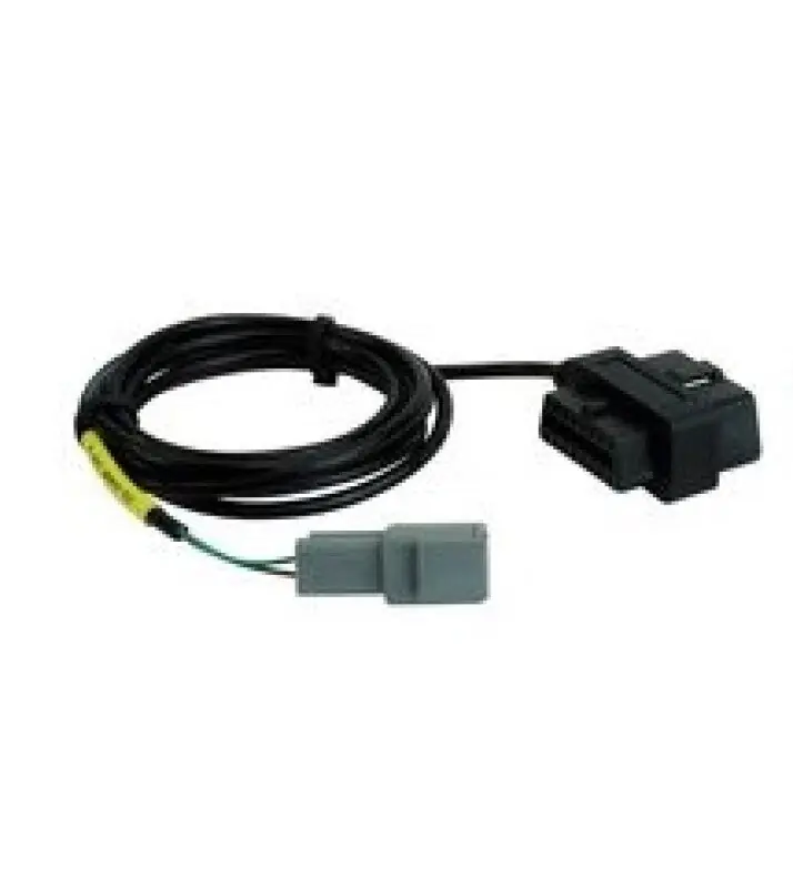 AEM CD-7/CD-7L Plug & Play Adapter Harness for OBDII CAN Bus | Graveyard Performance Bargain