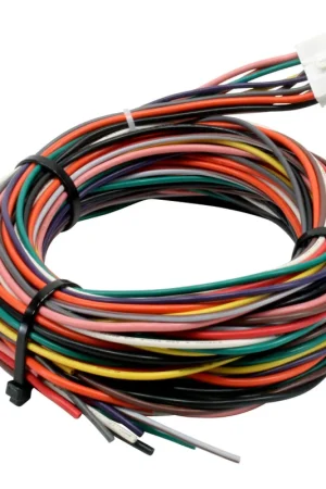 AEM Wiring Harness for V2 Controller w/ Multi Input | Graveyard Performance Order Now